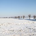 IMG_863012