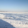 IMG_863013