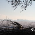 IMG_863025