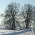IMG_863029