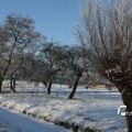 IMG_863032
