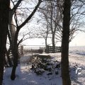 IMG_863033