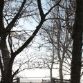 IMG_863035