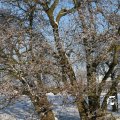 IMG_863036