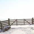 IMG_863037