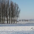 IMG_863041
