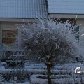 IMG_863043