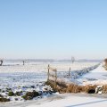 IMG_863049