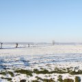 IMG_863050