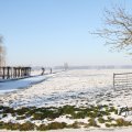 IMG_863051