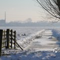 IMG_863054