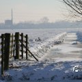 IMG_863055