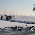 IMG_863059