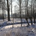 IMG_863061