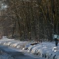 IMG_863064