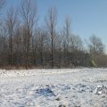 IMG_863065