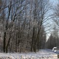 IMG_863071