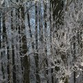 IMG_863072