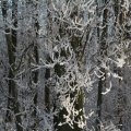 IMG_863073