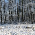 IMG_863074