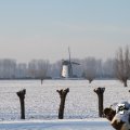 IMG_863095