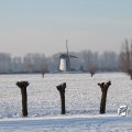IMG_863096