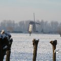 IMG_863100