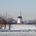 IMG_863105