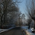 IMG_863109
