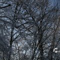 IMG_863110