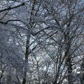 IMG_863111