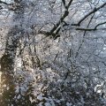 IMG_863112