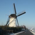 IMG_863115