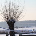 IMG_863123