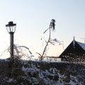 IMG_863125