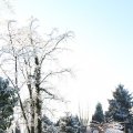 IMG_863130