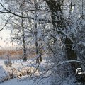 IMG_863134