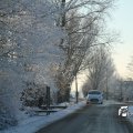 IMG_863135