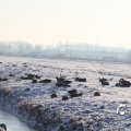 IMG_863141