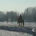 IMG_863143