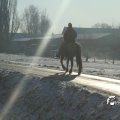 IMG_863144