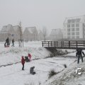 IMG_862145