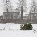 IMG_862156