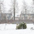 IMG_862160