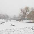 IMG_862183