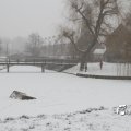 IMG_862185