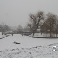 IMG_862186