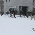 IMG_862209