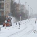 IMG_862231