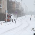 IMG_862233